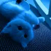 nina🐈‍⬛ - @_ninaayyyspeed - TikTok