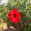 ninaspeed2178 - @ninaspeed2178 - TikTok
