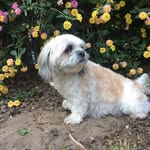 _.Ñiñatapia - @_.ninatapia - Instagram