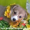Nina  - @nina_tocci - TikTok