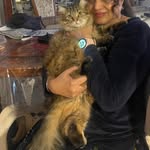 Nina Virk - @ninavirk3156 - Instagram
