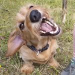 nina - @nina_von_rotfell - Instagram