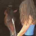 Nina Von Holdt equestrain Acc - @ninavh.equestrian - Instagram
