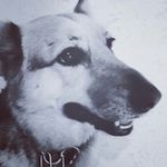 nina19 - @nina_vultaggio - Instagram