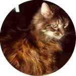 Nina Kanouse Walden - @w.aldenninaj - Instagram