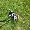 Nina Waldron - @nina.waldron - TikTok