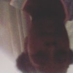 Nina Waldron Larose - @waldronlarose - Instagram