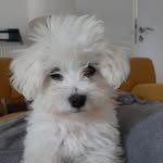 Nina Wallace - @ninawallace1973 - Instagram