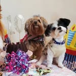 Nina & Wally - @nina_wally2 - Instagram