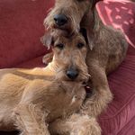 NINA WARREN - @conarandcally - Instagram