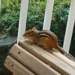 Nina Warren - @ninawarren4117 - Instagram