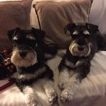 Nina Waters - @nina.waters.353 - Instagram