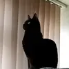 Nina Watson - @nina.watson71 - TikTok