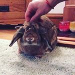 Nina Watts - @wattsnina23 - Instagram