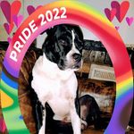 Nina Weaver - @ninaweaver2020 - Instagram