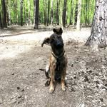 OutdoorNinja - @nina.weiland - Instagram