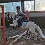 Nina en Nibbels welsh pony - @nina_ponywereld - Instagram