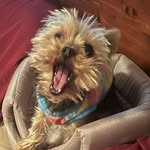 Nina Wesley - @ninawesley10 - Instagram