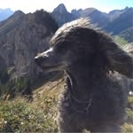 Nina Wesley - @nina.wesley.54 - Instagram