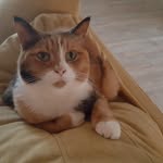 Nina Wesley - @nenagawa - Instagram