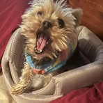 Nina Wesley - Facebook