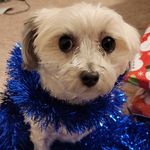 Nina Westcott - @nwest3818 - Instagram