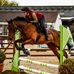 Nina Whiteley - Facebook