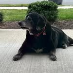 Nina Miller Whittleton - @ninawhittle10 - Instagram
