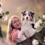Nina Wiik | Dog Photographer 📸 | Vestfold, Norway 🇳🇴 | Aussies 🐶 - @ninawiik - Instagram