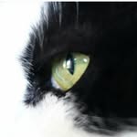 Nina Wiik Bjørndal - @ninabj63 - Instagram