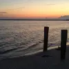 Nina Chazin Wilcox - @nina.chazin.wilco - TikTok