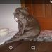 Nina Williamson - Facebook