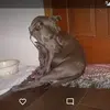 Nina Williamson - @nina.williamson72 - TikTok