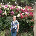 Ninfa Castillo - @ninfa.castillo.1800 - Instagram