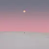 Ning Li - @ning.li22 - TikTok