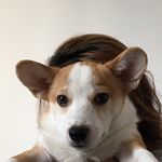 Ning Wang - @nningwang - Instagram