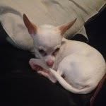Niño Lee - @ninolee_ - Instagram
