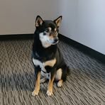 Nino Lee - Facebook