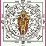 Nipam Patel - @nipampatel6 - Instagram