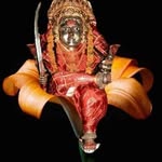 Nipam Patel - @nipam.patel.1401 - Instagram