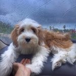 Niraj Agarwal - @nirajagarwal50 - Instagram