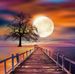 Niraj Agarwal - Facebook