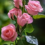 Niralee Patel - Facebook