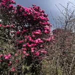 Nirupam Sinha - @_nirupxm_ - Instagram