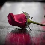 Nirupam Sinha - @sinha.nirupam - Instagram
