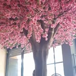 Nisha Devarajan - @nishadev_raj - Instagram