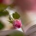 Nisha Jacob - Facebook