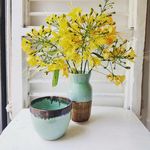nisha johnson - @summerhillpottery - Instagram
