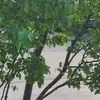 Nishil Patel - @nishilpatel8875 - TikTok