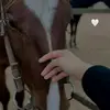 مندوبة مبيعات - @nisreen.salem7 - TikTok